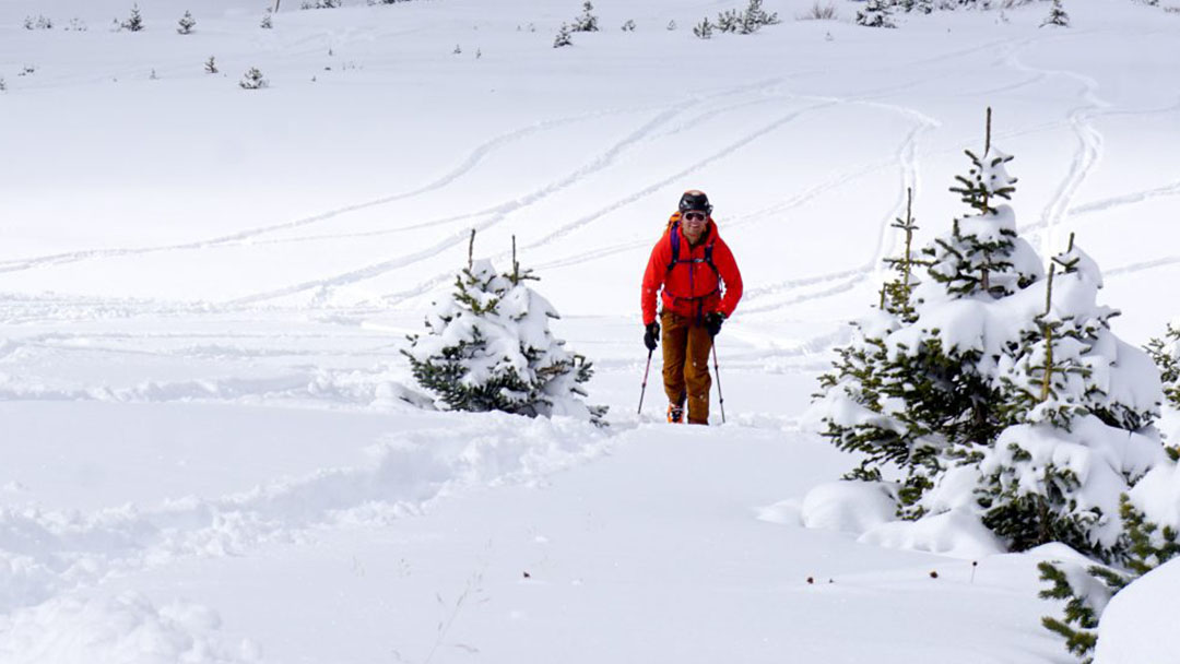 an avalanche backpack