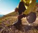 The best hiking shoes